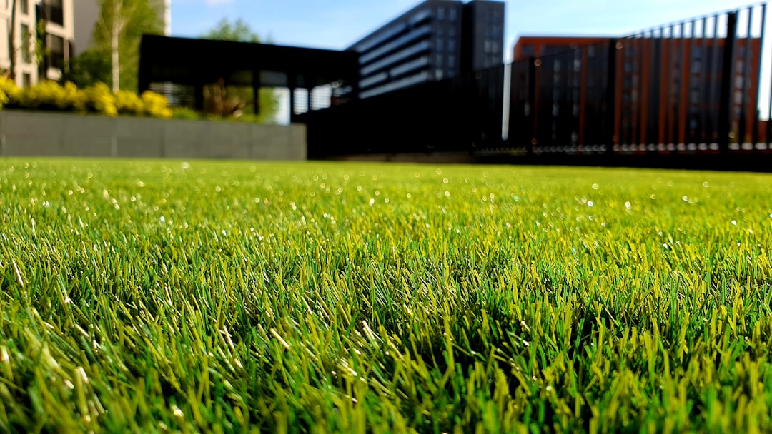 Entretien de jardin et tonte de pelouse à Gaillac : Des services sur-mesure avec SKO Paysage